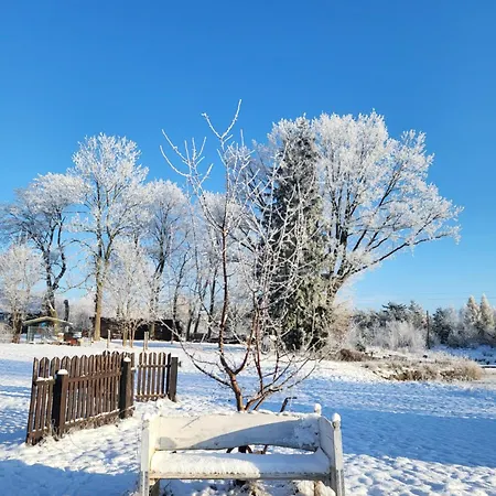 בית נופש Siedlisko Ptasie Trele 2 *