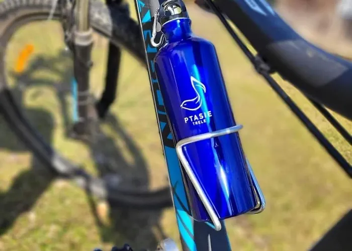 Siedlisko Ptasie Trele 2 Casa de Férias